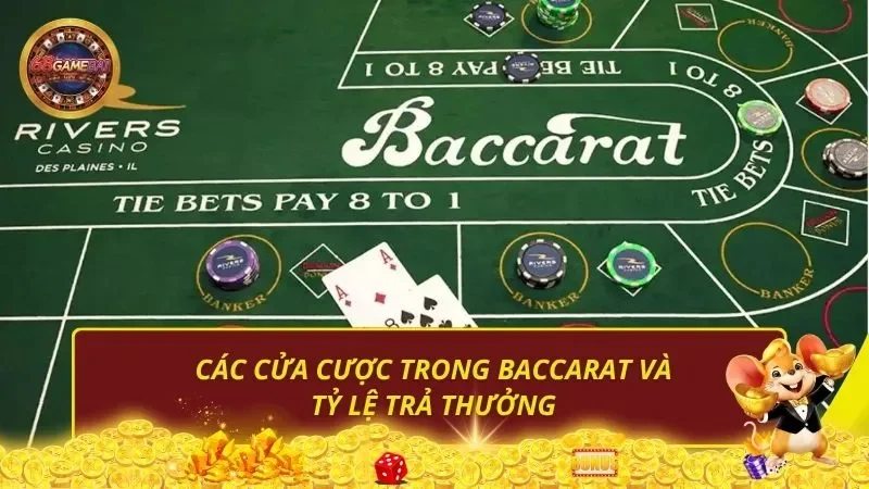 Các cửa cược trong Baccarat và tỷ lệ trả thưởng