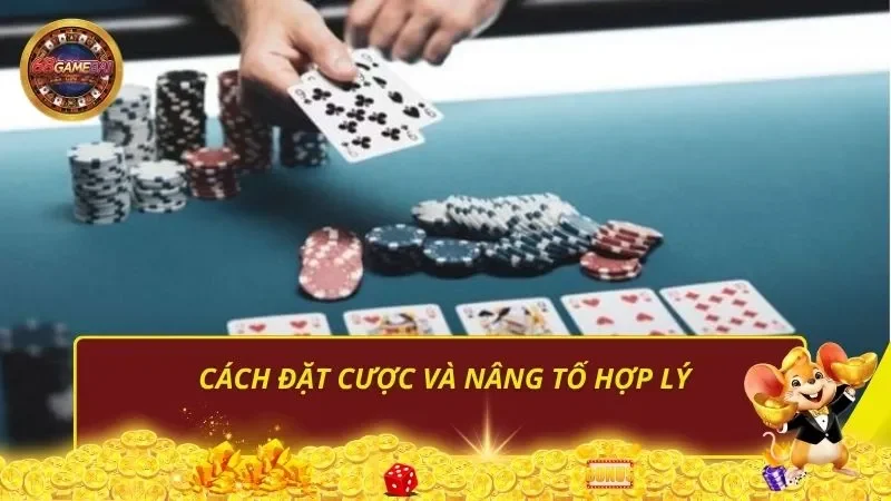 Cách đặt cược và nâng tố hợp lý