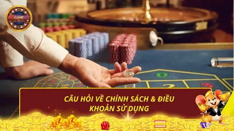 Câu hỏi về chính sách & điều khoản sử dụng