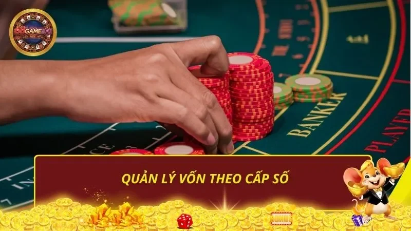 Quản lý vốn theo cấp số