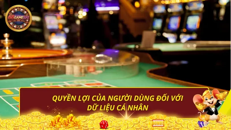 Quyền lợi của người dùng đối với dữ liệu cá nhân